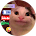 бутер Cat бутер Cat