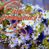 Анна Анна
