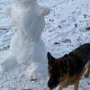 Валерия фролова