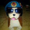 Игорь Макаров