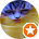 Сергёга