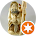 Severoc NUR 89