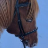 Ольха Илюхина Ольха Илюхина