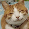 Саня Ващилин Саня Ващилин