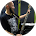 Alexander Зabolotski Alexander Зabolotski