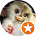 ВИТОЗ ЗОЛОТОЙ