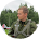Алексей Кружков Алексей Кружков