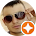 Ни Забу Ни какда Ни Забу Ни какда