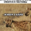 Элёр Юлдашев Элёр Юлдашев