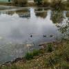 Наталия Ч.