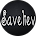 SavelievTM SavelievTM