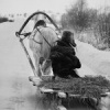 СЭР Л.