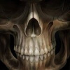 Анатолий Непомнящий Анатолий Непомнящий