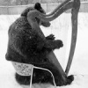 Владимир Ильин Владимир Ильин