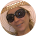alesia klimava