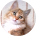 Небесное Око