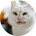KefiR SkiSs KefiR SkiSs