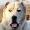 Валерий Валериевич