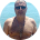 Андрей Бирюков