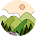 Poli llli