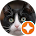 ThatCat 1 ThatCat 1