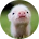 Андрей Заика