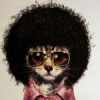 Залим Токов Залим Токов