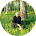 Andrey Vistyak Andrey Vistyak