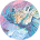 Radi