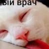 Завофф